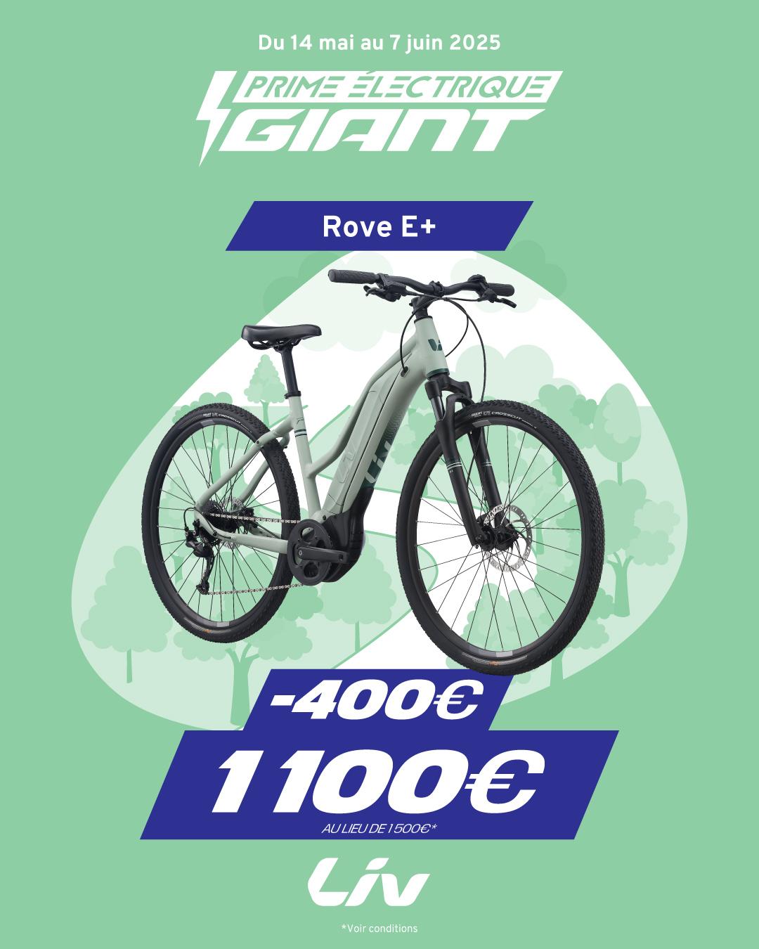 PRIME VAE GIANT/LIV